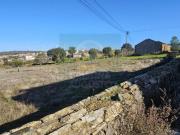 Terrenos Castelo Branco Castelo Branco 6000 DS98394596