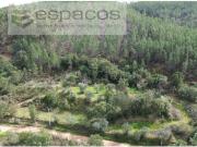 Terrenos Castelo Branco Castelo Branco DS100126901