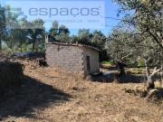 Terrenos Castelo Branco Castelo Branco DS83059695