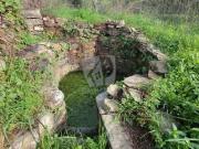 Terrenos Castelo Branco Castelo Branco DS85355004