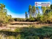 Terrenos Castelo Branco Castelo Branco DS85622673