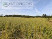 Terrenos Castelo Branco Castelo Branco DS85952208