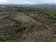 Terrenos Castelo Branco Castelo Branco DS87045005