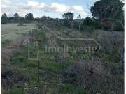 Terrenos Castelo Branco Castelo Branco DS89582503
