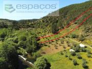 Terrenos Castelo Branco Castelo Branco DS90181317