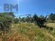 Terrenos Castelo Branco Castelo Branco DS90915775