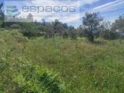 Terrenos Castelo Branco Castelo Branco DS92259016