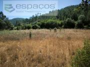 Terrenos Castelo Branco Castelo Branco DS93327383