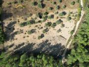 Terrenos Castelo Branco Castelo Branco DS94353519