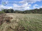 Terrenos Castelo Branco Castelo Branco DS94642203