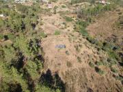 Terrenos Castelo Branco Castelo Branco DS95149422