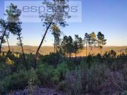 Terrenos Castelo Branco Castelo Branco DS95634716