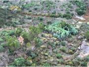 Terrenos Castelo Branco Castelo Branco DS96557803