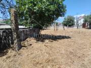 Terrenos Castelo Branco Castelo Branco DS97118562