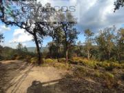 Terrenos Castelo Branco Castelo Branco DS97120637