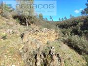 Terrenos Castelo Branco Castelo Branco DS97121002