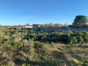 Terrenos Castelo Branco Castelo Branco DS97121240