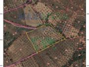 Terrenos Castelo Branco Castelo Branco DS97122859