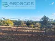 Terrenos Castelo Branco Castelo Branco DS97164506