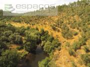 Terrenos Castelo Branco Castelo Branco DS97736502