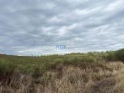 Terrenos Castelo Branco Castelo Branco DS98364854