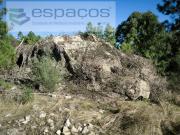 Terrenos Castelo Branco Castelo Branco DS98404317