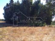 Terrenos Castelo Branco Castelo Branco DS99035601