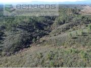 Terrenos Castelo Branco Castelo Branco DS99343328