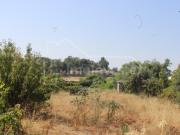 Terrenos Castelo Branco Castelo Branco DS99436181