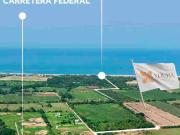 TERRENOS CERCA DE PUERTO ESCONDIDO / CERCA DEL...