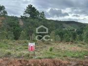 Terrenos Coimbra Coimbra DS69804935