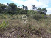 Terrenos Coimbra Coimbra DS79439418