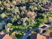 Terrenos Coimbra Coimbra DS87454765