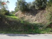 Terrenos Coimbra Coimbra DS90445438