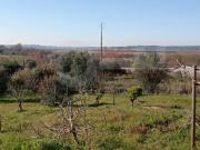 Terrenos Coimbra Coimbra DS93994661