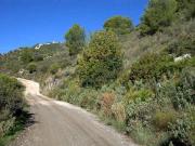 Terrenos Cómpeta Málaga 73493803