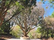 TERRENOS CON CREDITO INFONAVIT, AL NORTE DE CUERNAVACA...