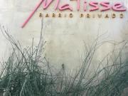 Terrenos con financiación en Barrio Privado Matisse