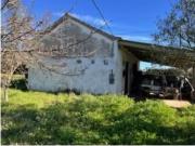 Terrenos Covilhã Covilhã DS93833970