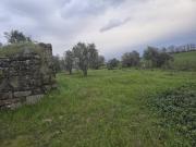 Terrenos Covilhã Covilhã DS99271889