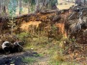 TERRENOS DE 109, 500 M2 CON CANTERA LISTOS PARA...