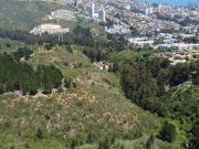Terrenos de 1Ha, Los Almendros, Reñaca, Viña del Mar