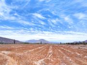 Terrenos de 5000m2 San Felipe