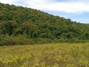 Terrenos de 500 m² a 1.000 m² em Ibiúna SP em fase de...