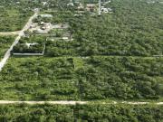 TERRENOS DE OPORTUNIDAD EN VENTA EN DZITYA, AL NORTE DE...