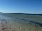 Terrenos de Playa, en venta