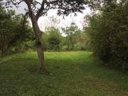 Terrenos de Venta en Mindo