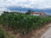 Terrenos de Venta en Puembo, via Arrayanes