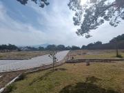 Terrenos Eco Tur?sticos con Plusval?a: Residencial Foresta