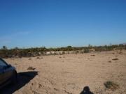 Terrenos Elche Alicante 66597585